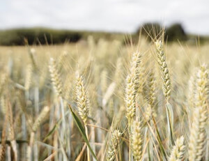 华维亚踢出造成惊讶的比赛,战况激烈